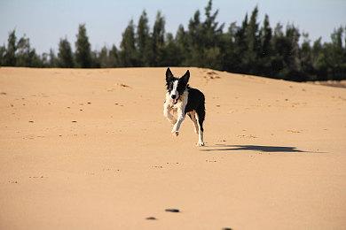 《伊苏9：怪人之夜》Steam版现已发售 繁中版将单独发布